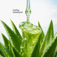 Labolia Beaute Aloe Vera Gel for Face, Skin & Hair | 100% Pure Aloe Vera | Soothes, Hydrates & Calms Dry and Irritated Skin | Non-Sticky & Lightweight | 100g